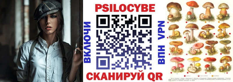 Псилоцибиновые грибы мицелий  Майкоп 